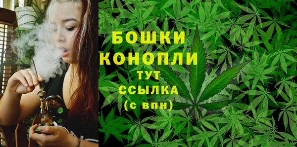 молекула духа Верея