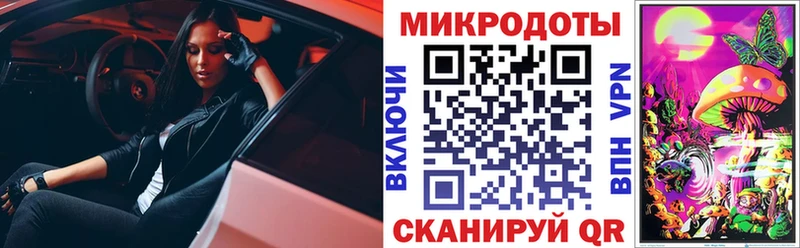 магазин  наркотиков  Гвардейск  Галлюциногенные грибы мицелий 
